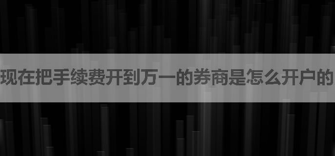 现在把手续费开到万一的券商是怎么开户的，有流程吗