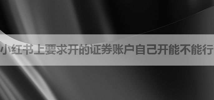 小红书上要求开的证券账户自己开能不能行