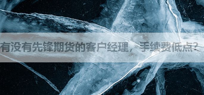 有没有先锋期货的客户经理，手续费低点？