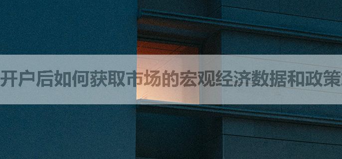 开户后如何获取市场的宏观经济数据和政策解读？