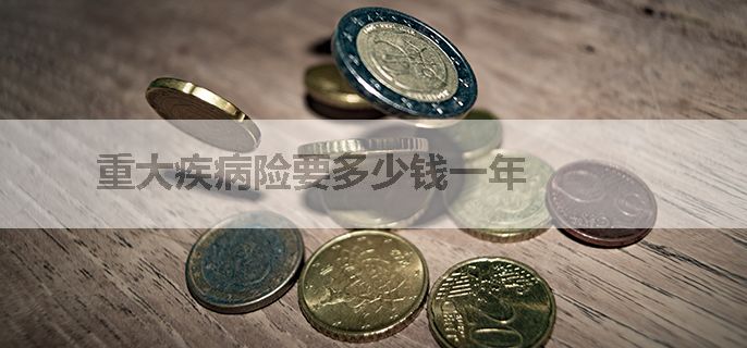 重大疾病险要多少钱一年