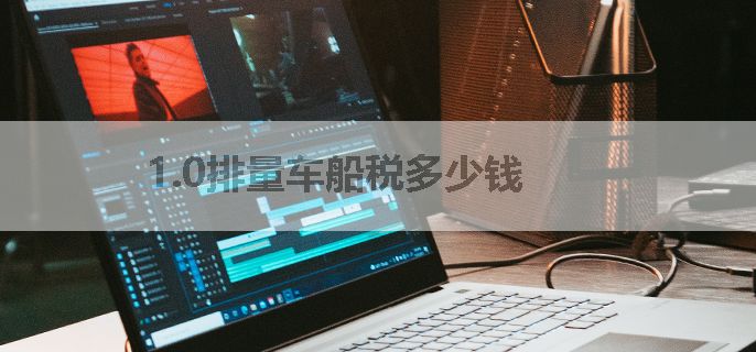 1.0排量车船税多少钱