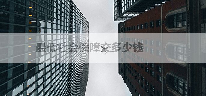 最低社会保障交多少钱
