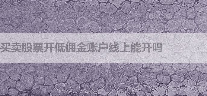 买卖股票开低佣金账户线上能开吗
