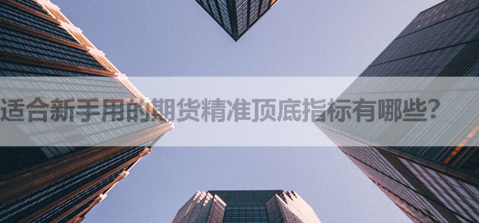 适合新手用的期货精准顶底指标有哪些？