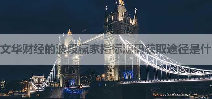 文华财经的波段赢家指标源码获取途径是什么？