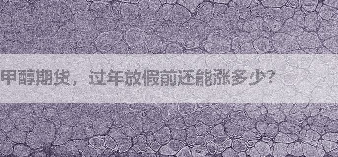 甲醇期货，过年放假前还能涨多少？