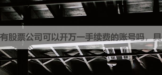 有股票公司可以开万一手续费的账号吗，具体咋操作能开