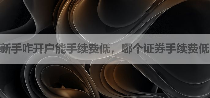 新手咋开户能手续费低，哪个证券手续费低