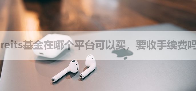 reits基金在哪个平台可以买，要收手续费吗