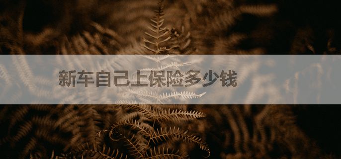 新车自己上保险多少钱