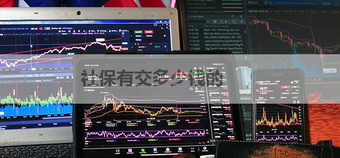 社保有交多少钱的