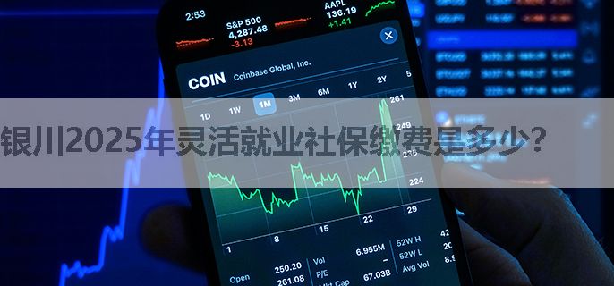 银川2025年灵活就业社保缴费是多少？
