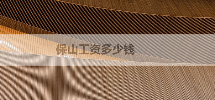 保山工资多少钱
