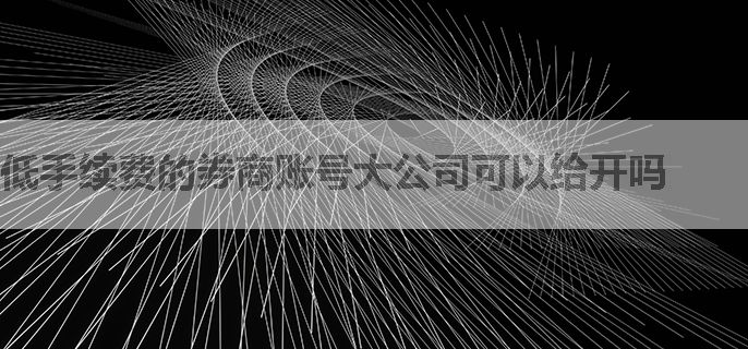 低手续费的券商账号大公司可以给开吗