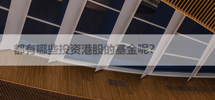 都有哪些投资港股的基金呢？