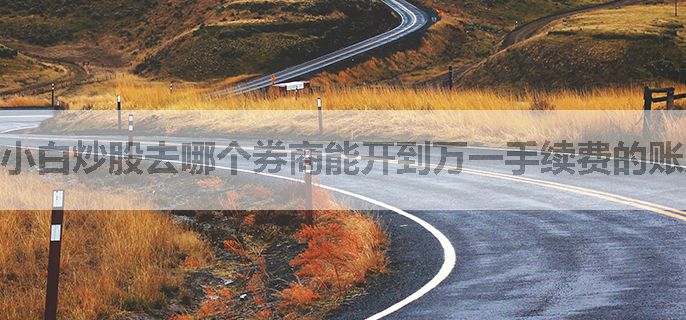 小白炒股去哪个券商能开到万一手续费的账户呢