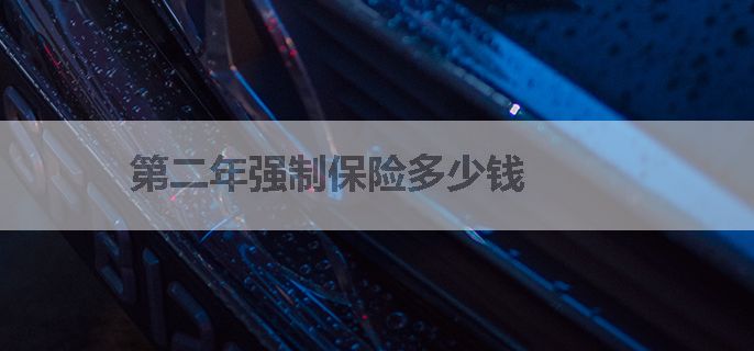 第二年强制保险多少钱
