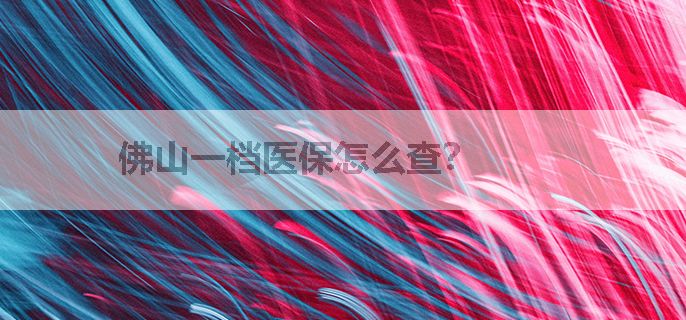 佛山一档医保怎么查？