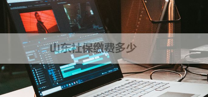 山东社保缴费多少