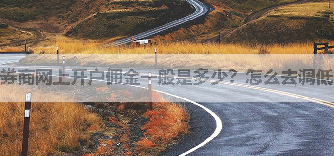 券商网上开户佣金一般是多少？怎么去调低