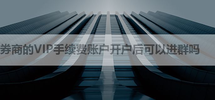 券商的VIP手续费账户开户后可以进群吗