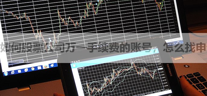 如何股票公司万一手续费的账号，怎么找申请入口
