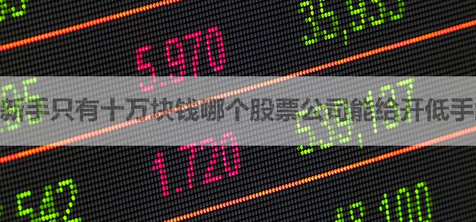 新手只有十万块钱哪个股票公司能给开低手续费账户呀