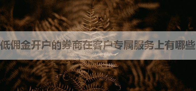 低佣金开户的券商在客户专属服务上有哪些？