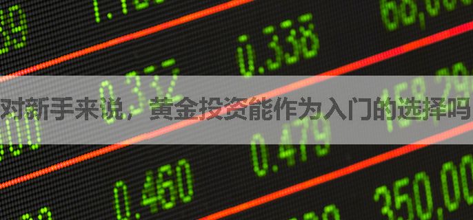 对新手来说，黄金投资能作为入门的选择吗？