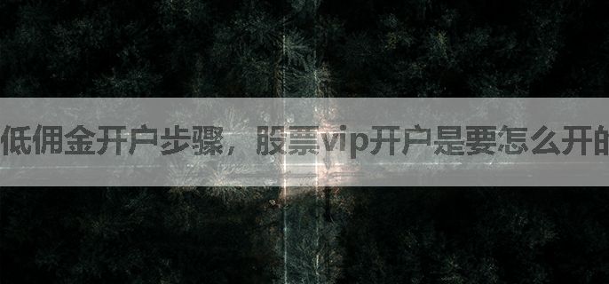 低佣金开户步骤，股票vip开户是要怎么开的