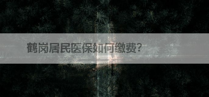 鹤岗居民医保如何缴费？