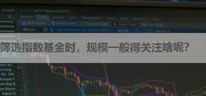 筛选指数基金时，规模一般得关注啥呢？