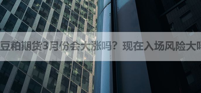 豆粕期货3月份会大涨吗？现在入场风险大吗？