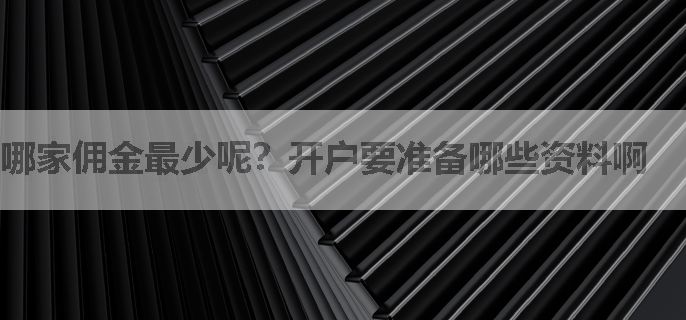 哪家佣金最少呢？开户要准备哪些资料啊