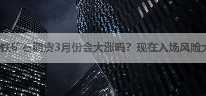 铁矿石期货3月份会大涨吗？现在入场风险大吗？