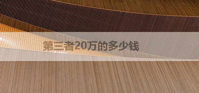 第三者20万的多少钱