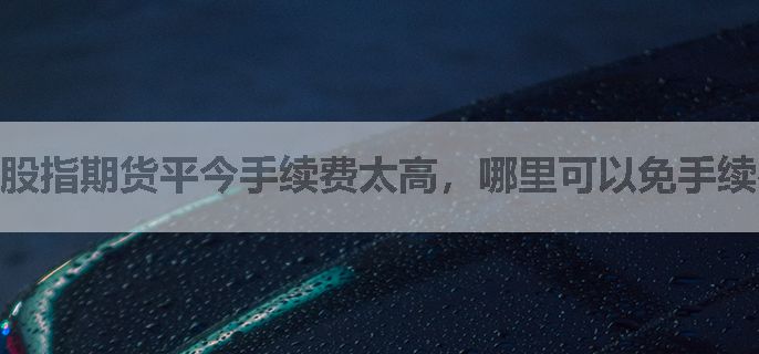 股指期货平今手续费太高，哪里可以免手续费的？