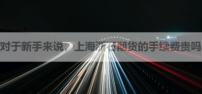 对于新手来说，上海浙石期货的手续费贵吗？