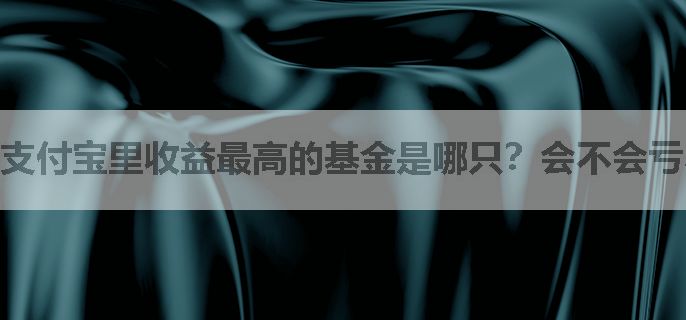 支付宝里收益最高的基金是哪只？会不会亏本金？