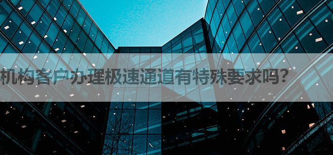 机构客户办理极速通道有特殊要求吗？
