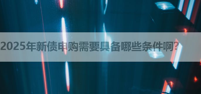 2025年新债申购需要具备哪些条件啊？