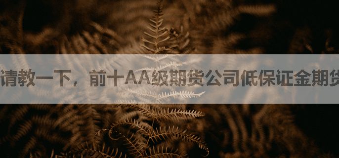 请教一下，前十AA级期货公司低保证金期货交易开户是什么意思？
