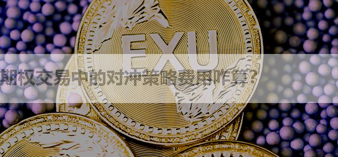 期权交易中的对冲策略费用咋算？
