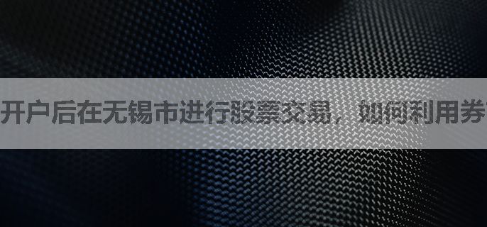 开户后在无锡市进行股票交易，如何利用券商的交易策略推荐服务实现差异化投资？
