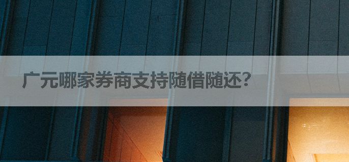 广元哪家券商支持随借随还？