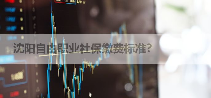 沈阳自由职业社保缴费标准？
