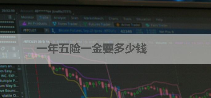 一年五险一金要多少钱