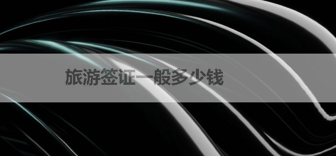 旅游签证一般多少钱