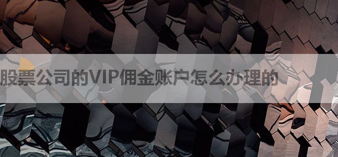 股票公司的VIP佣金账户怎么办理的